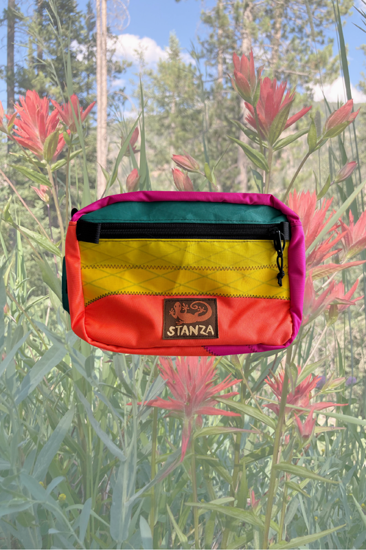 sound and vision bigger belly bag